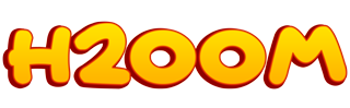 H200M